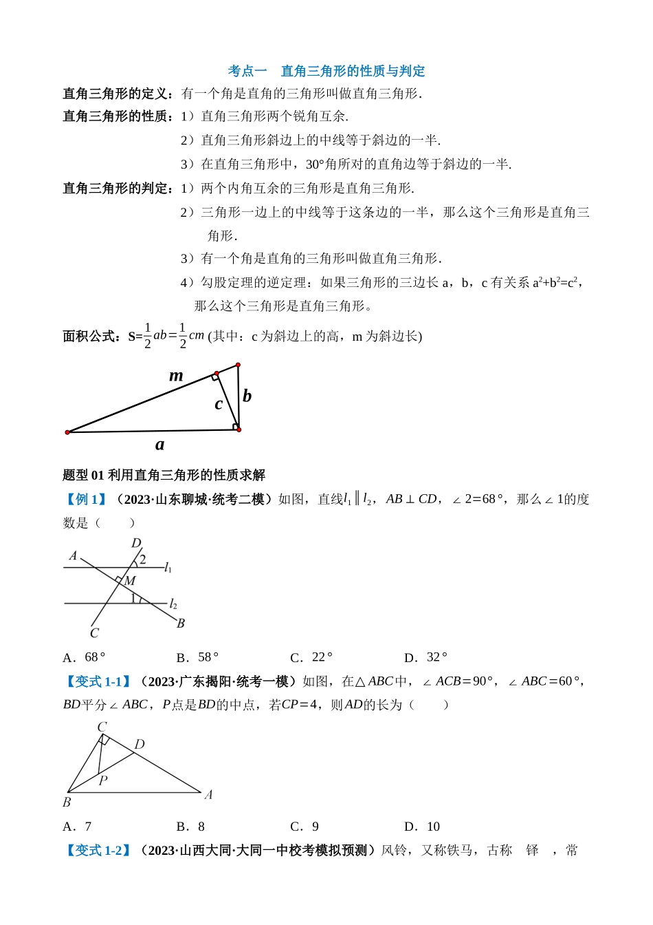 专题19 直角三角形（讲义）_中考数学.docx_第3页