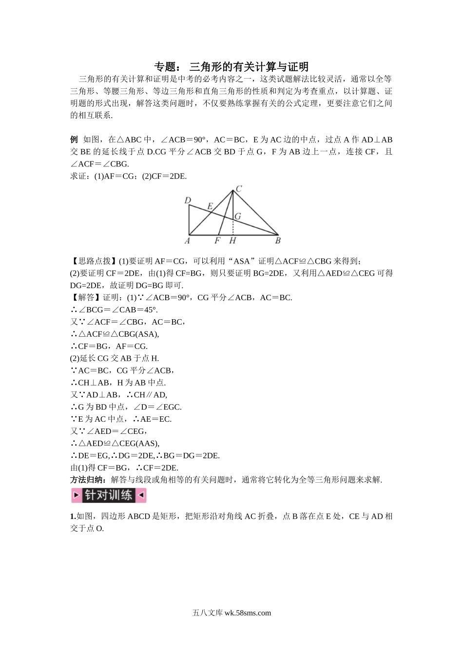 专题：三角形的有关计算与证明_八年级上册.doc_第1页