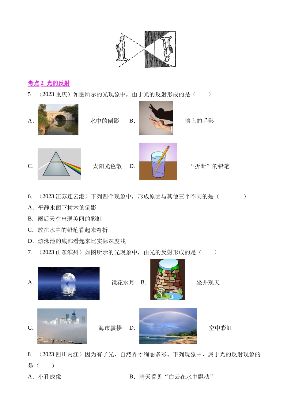 专题02_光现象___中考物理.docx_第2页