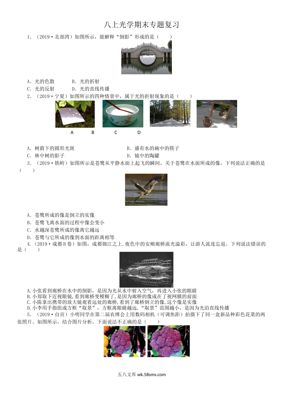 八上光学期末专题复习_八年级上册.docx_第1页