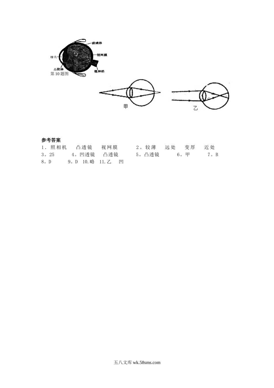 5.4 眼睛和眼镜课课练测试卷 _八年级上册.doc_第2页