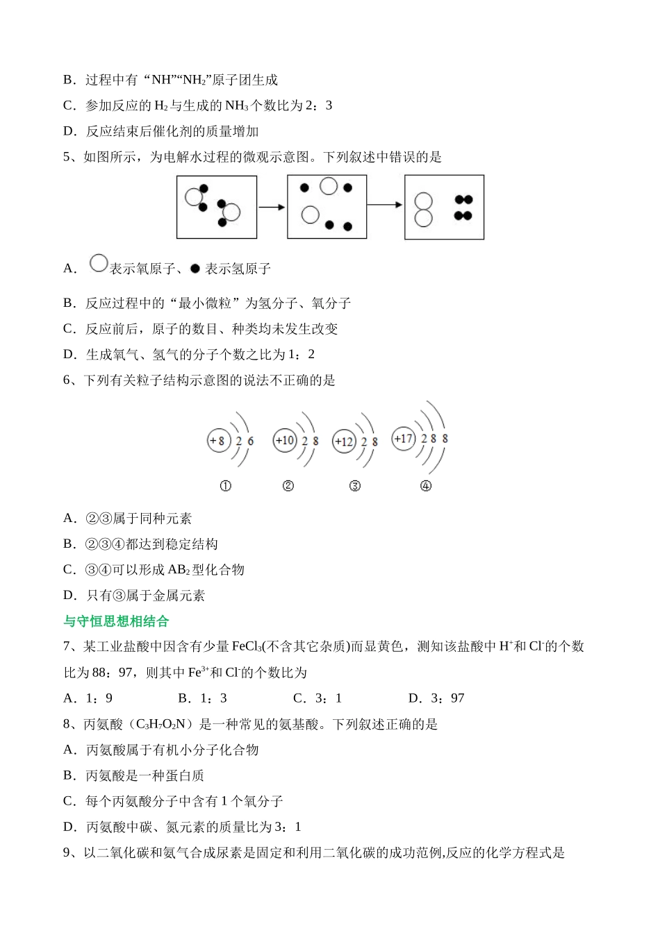 专题10 化学式与化学用语（测试）_中考化学.docx_第2页