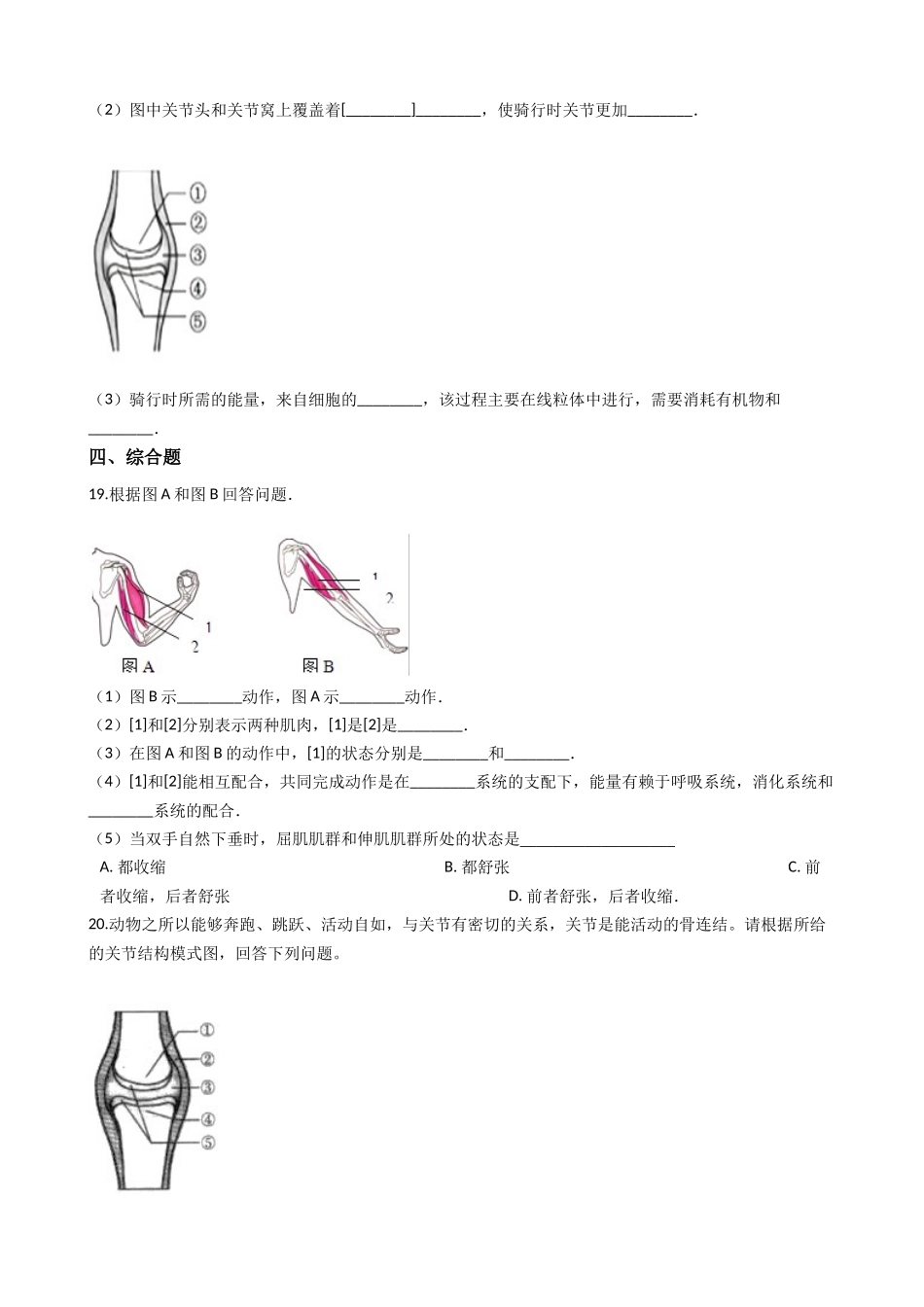 北师大版八年级上册生物 第十五章 动物的运动 单元测试（含解析）_八年级上册.docx_第3页