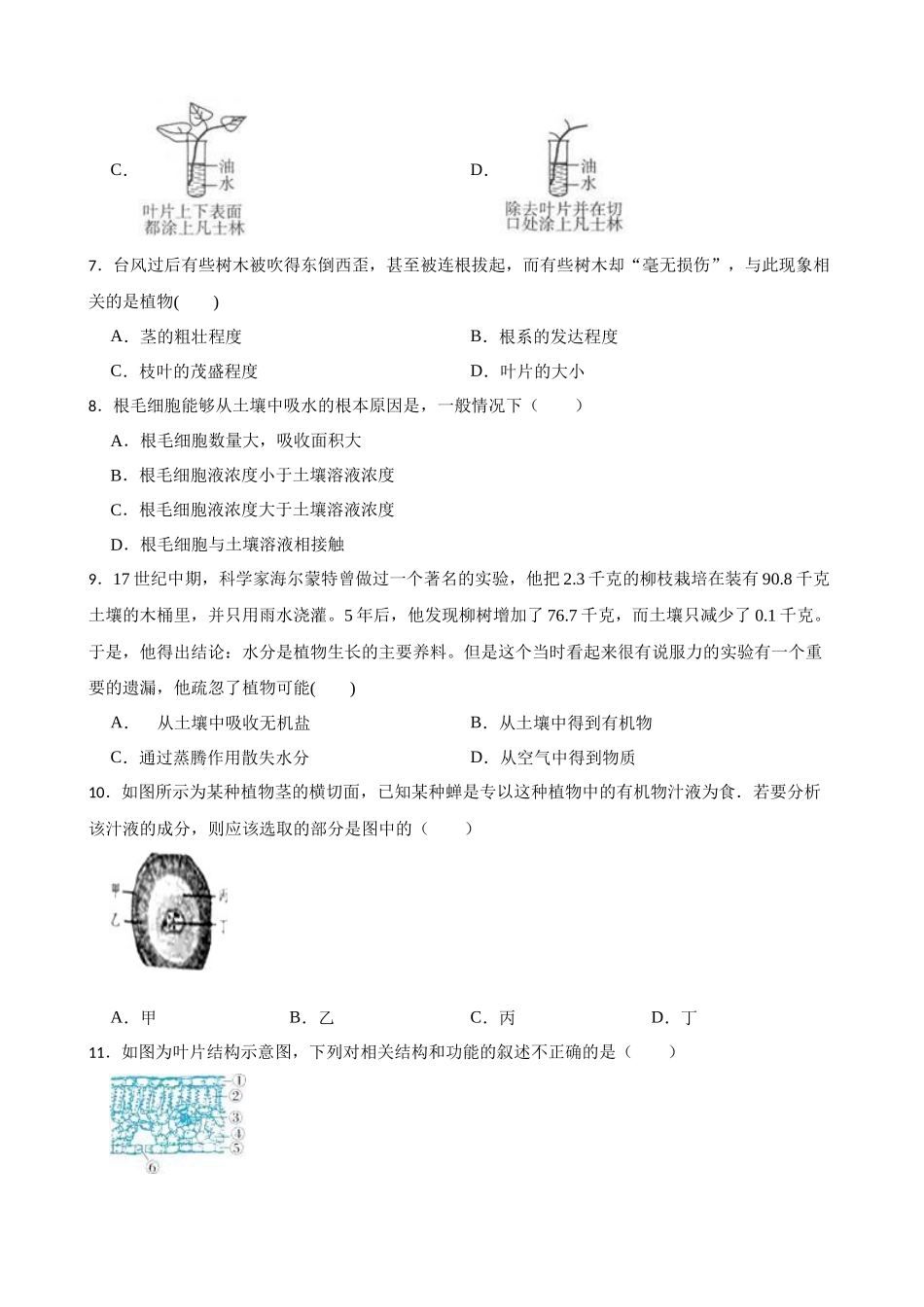 第四章 植物的物质和能量转化 单元复习卷 —华东师大版科学八年级上册_八年级上册.docx_第2页