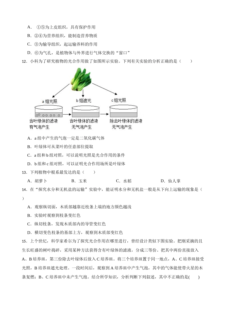 第四章 植物的物质和能量转化 单元复习卷 —华东师大版科学八年级上册_八年级上册.docx_第3页