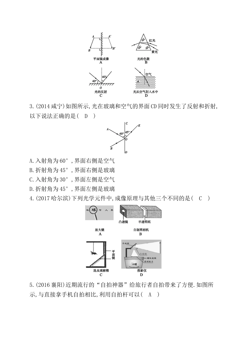 期末复习三(第三章)_八年级上册.doc_第2页