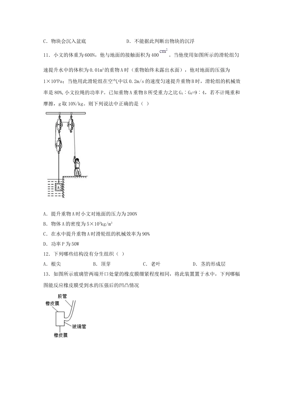 华东师大版八年级上册《科学》期末复习练习题（含答案） (1)_八年级上册.doc_第3页