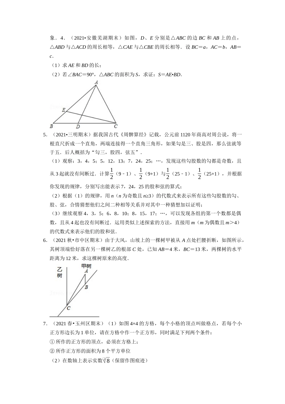 期末满分计划之解答压轴专项训练（30道）（学生版）（北师大版）_八年级上册.docx_第2页