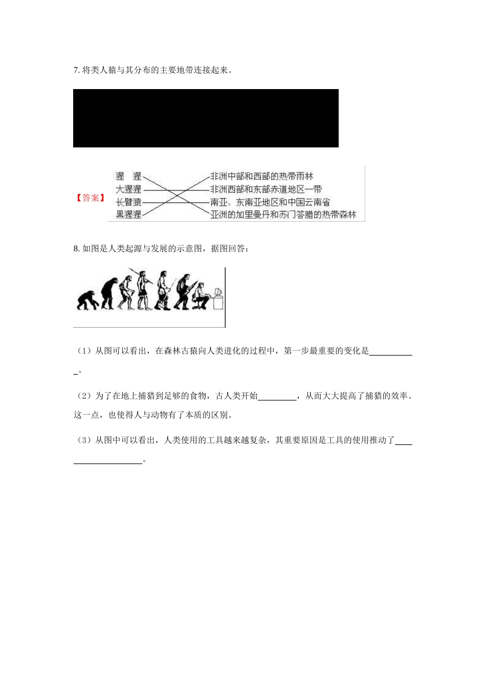 生物八年级上苏教版5.16.4人类的起源和进化同步练习及答案_八年级上册.doc_第2页