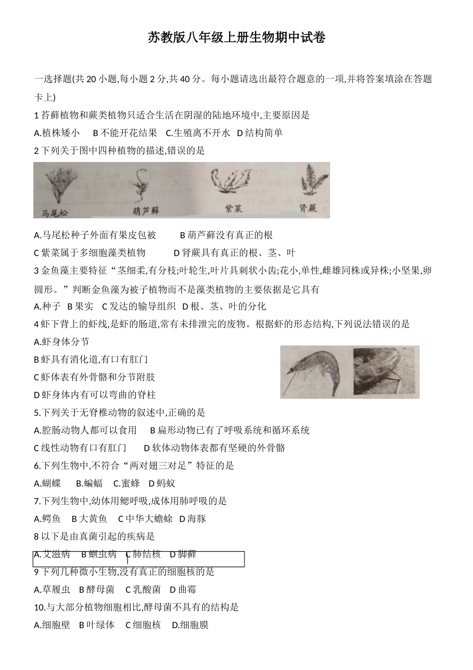苏教版八年级上册生物期中试卷1_八年级上册.doc_第1页