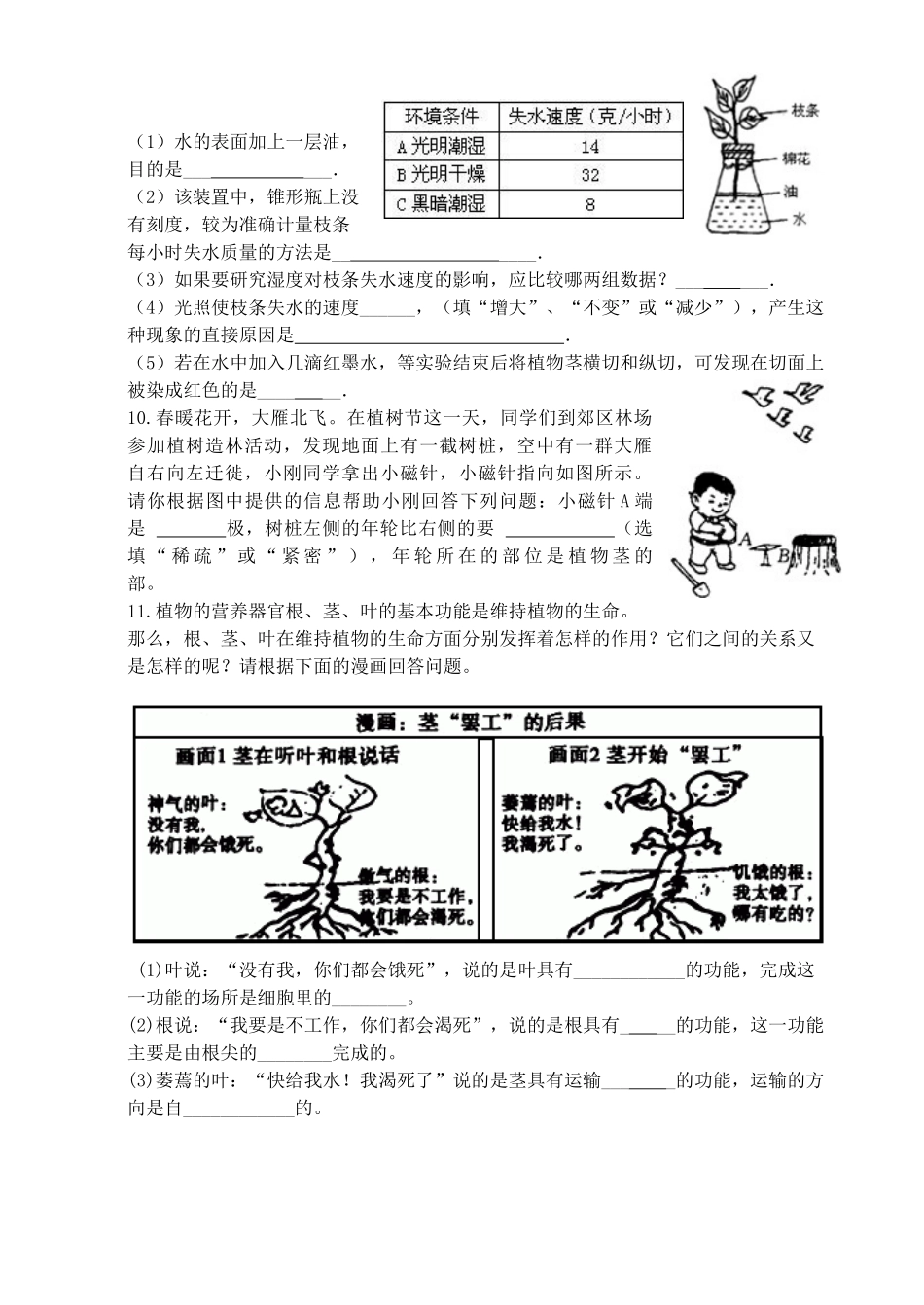 浙教版八年级科学下册4.5-植物的叶与蒸腾作用巩固与训练.doc_第2页