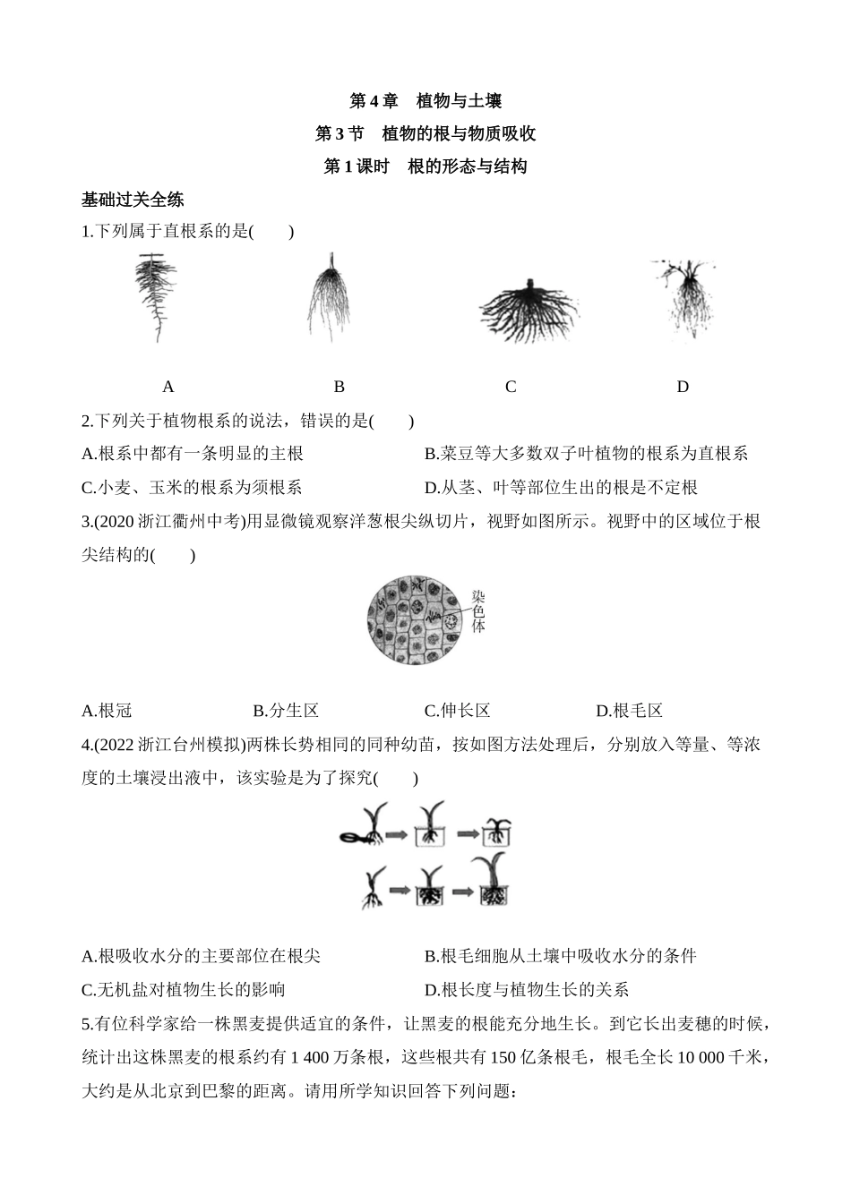 4.3.1 根的形态与结构 同步练习.docx_第1页