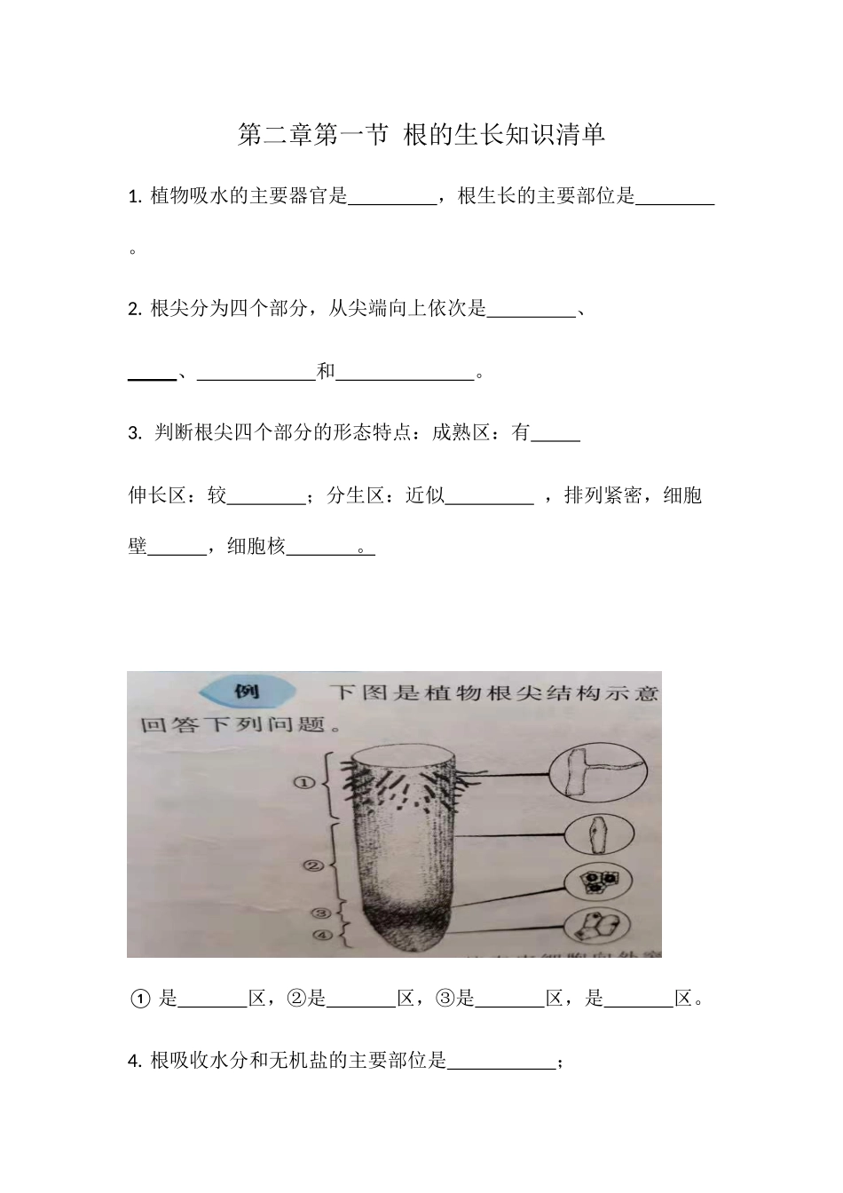 第二章第一节根的生长知识清单_八年级上册.docx_第1页