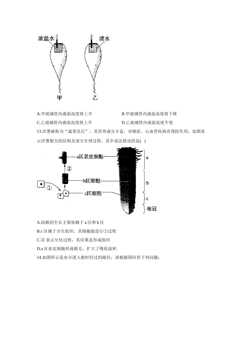 3.2.2根对水分的吸收  同步课时作业  生物冀少版八年级上册_八年级上册.doc_第3页