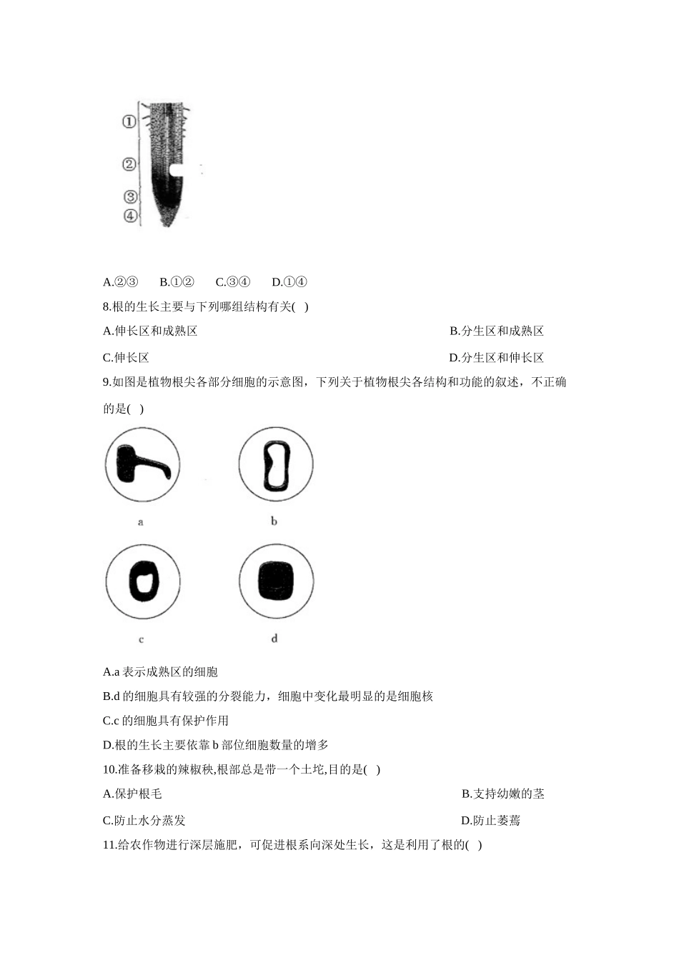 3.2.1根的生长  同步课时作业  生物冀少版八年级上册_八年级上册.doc_第2页