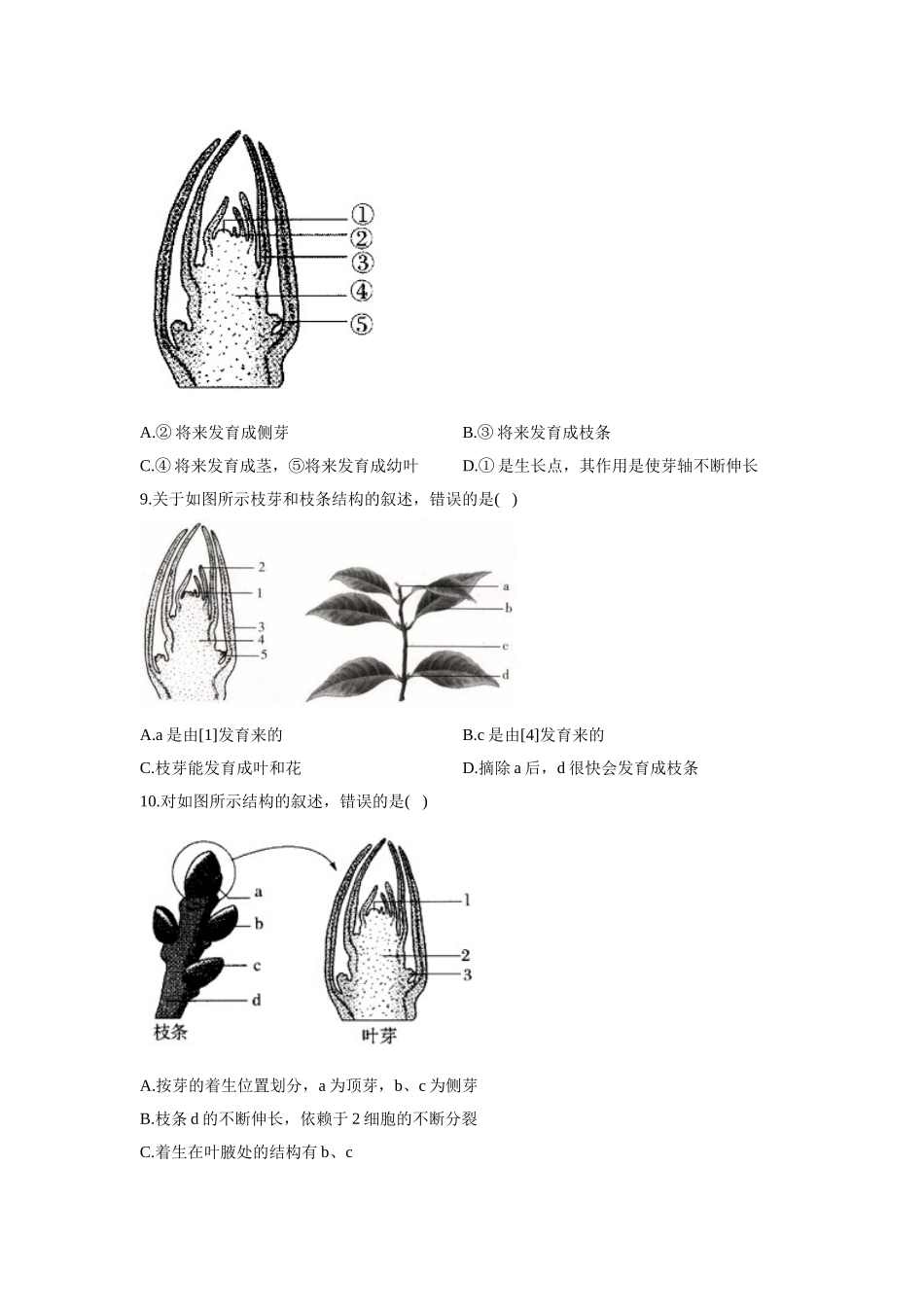 3.1.3芽的发育  同步课时作业  生物冀少版八年级上册_八年级上册.doc_第2页