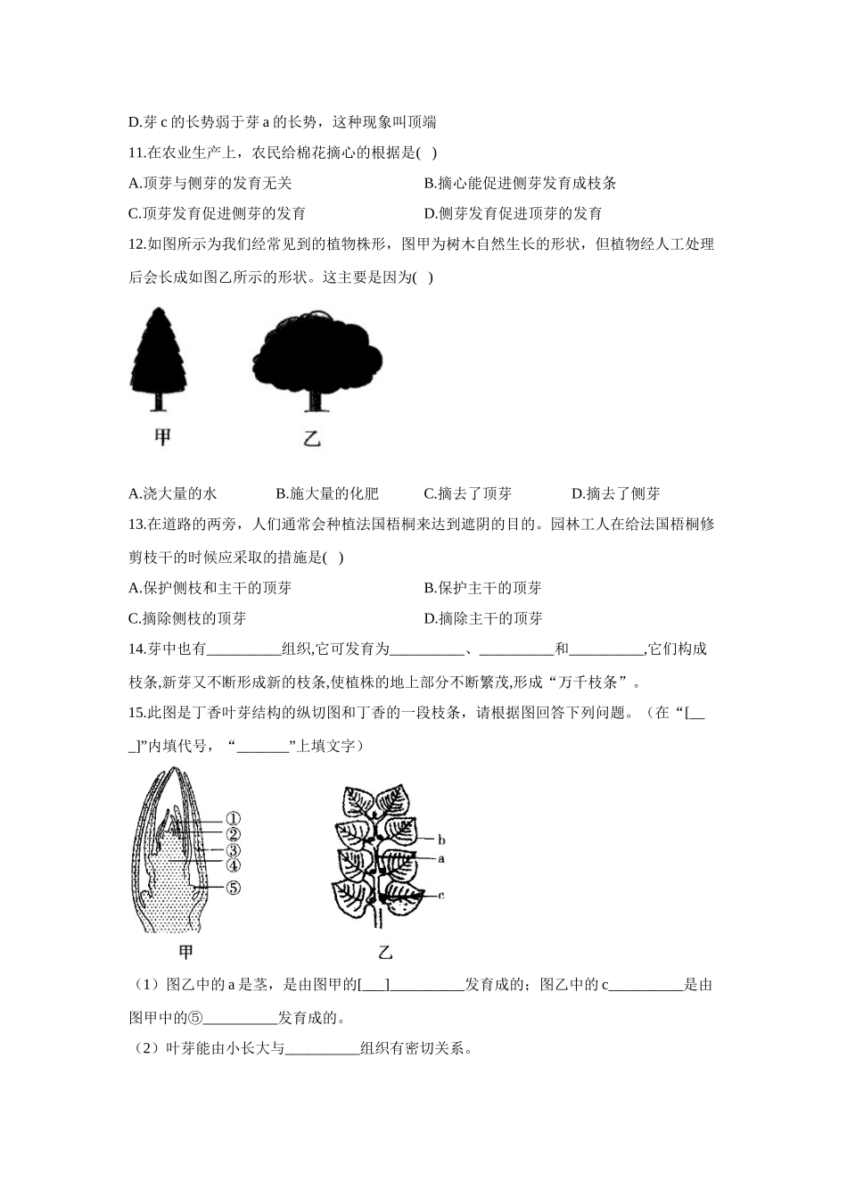 3.1.3芽的发育  同步课时作业  生物冀少版八年级上册_八年级上册.doc_第3页