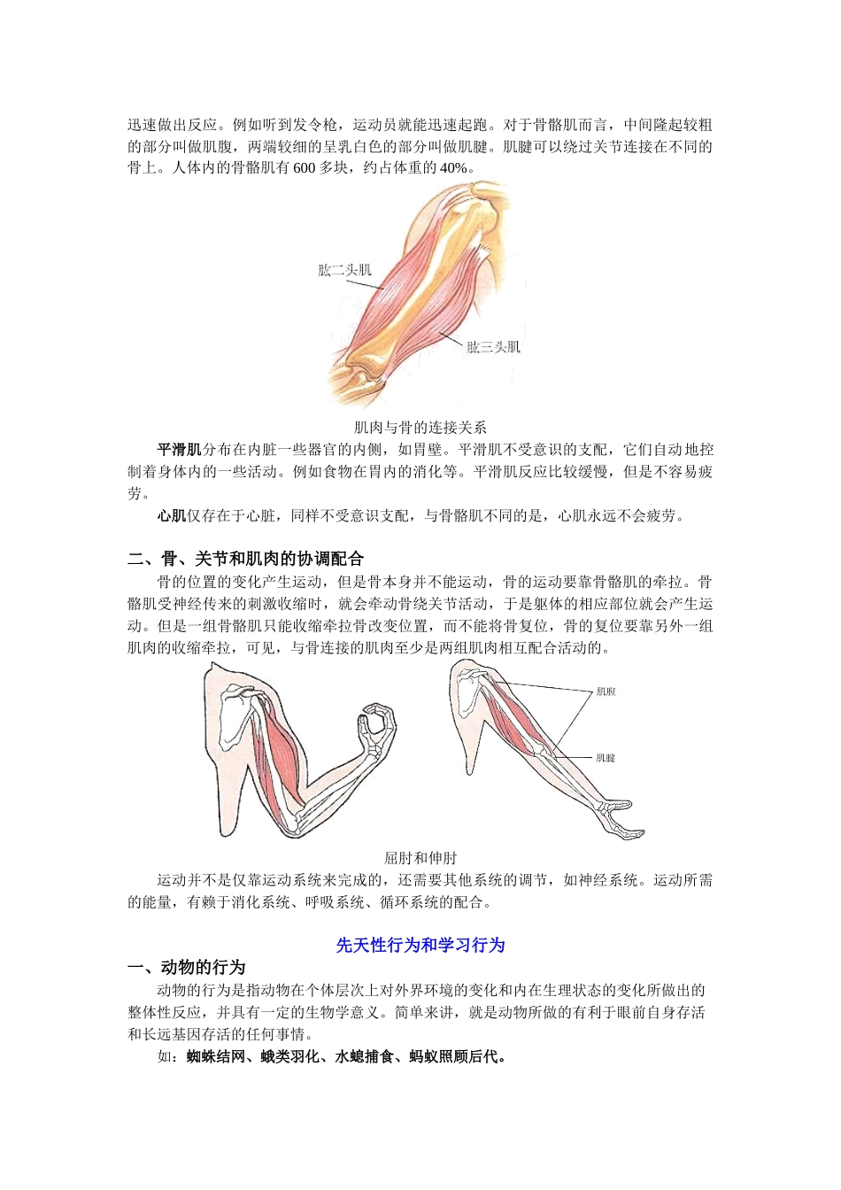 八年级生物上册知识讲义-专题复习：动物的运动和行为-冀少版_八年级上册.doc_第2页