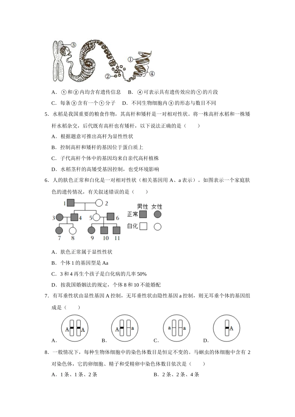 第20章 生物的遗传和变异 复习题  北师大版生物八年级上册_八年级上册.docx_第2页