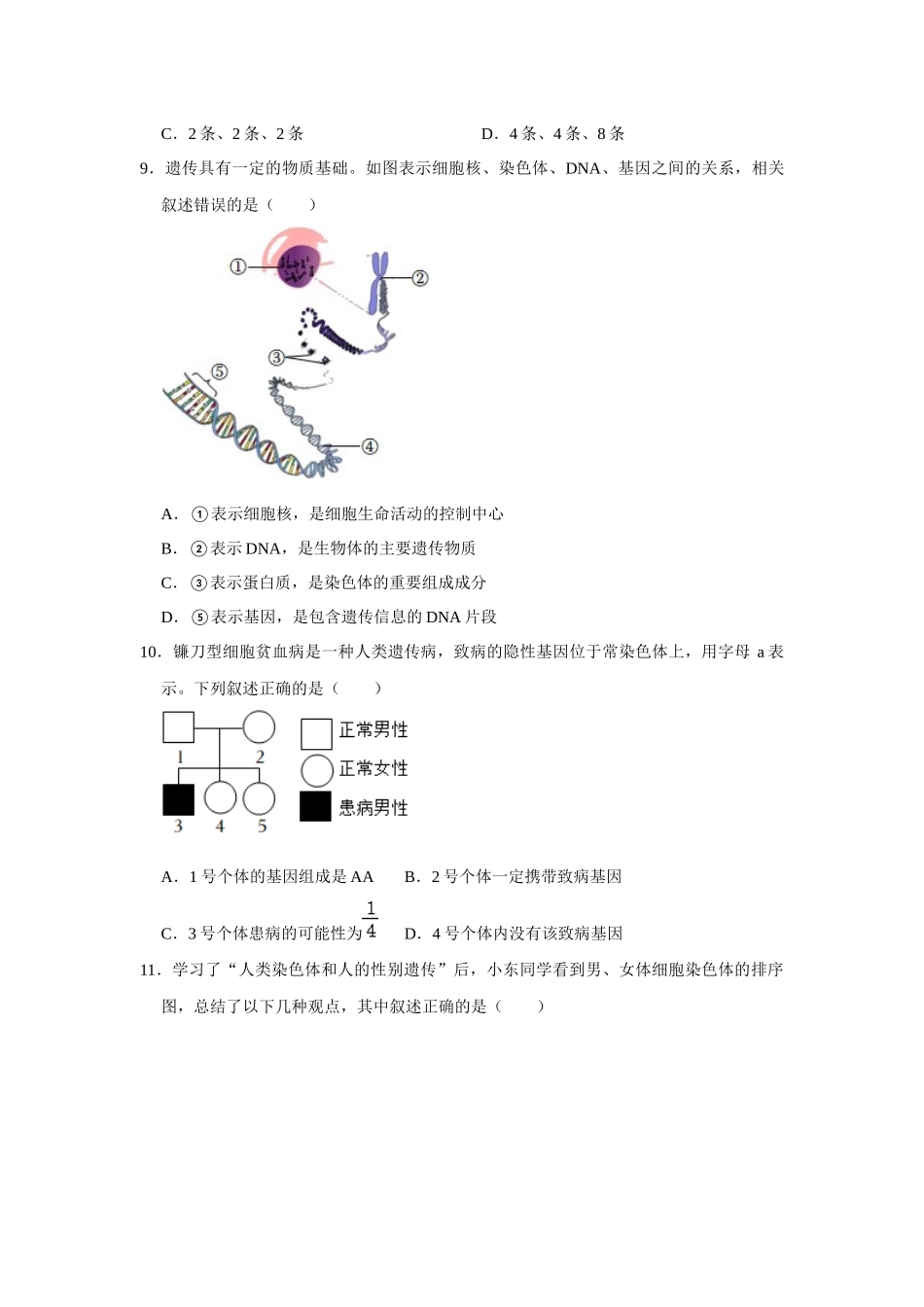 第20章 生物的遗传和变异 复习题  北师大版生物八年级上册_八年级上册.docx_第3页