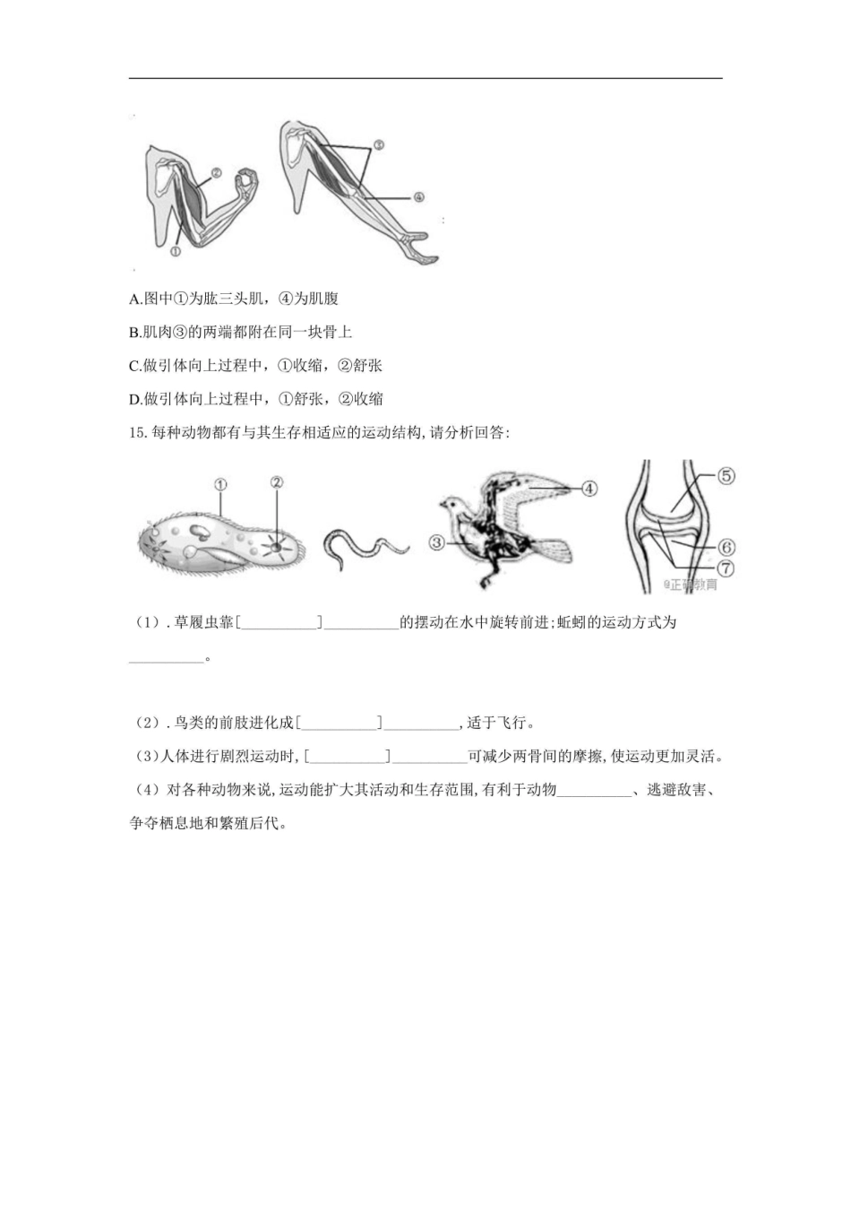 第十七章 动物的运动_八年级上册_八年级上册.pdf_第3页