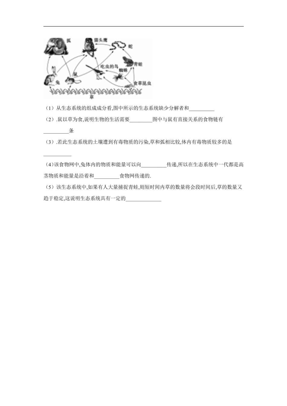 第十九章 生态系统_八年级上册_八年级上册.pdf_第3页