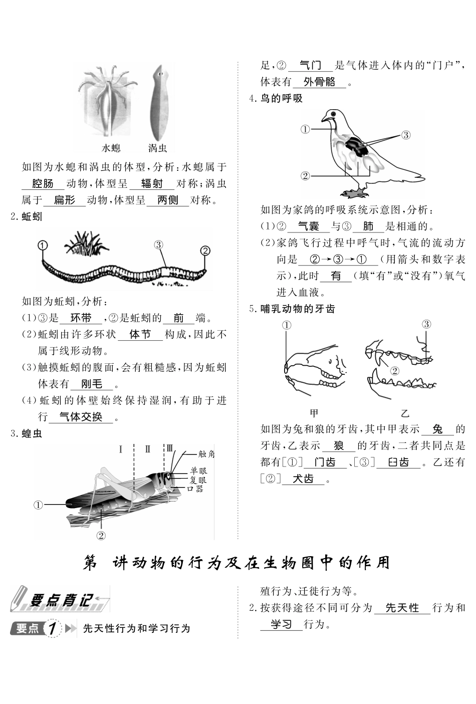 人教版生物八年级上册知识点要点背记_八年级上册_八年级上册.pdf_第2页