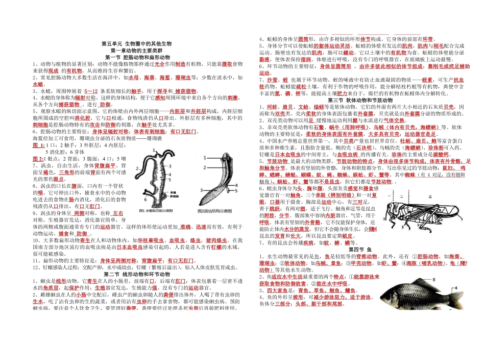 1.人教版八年级生物上册全册知识点总结_八年级上册_八年级上册.pdf_第1页