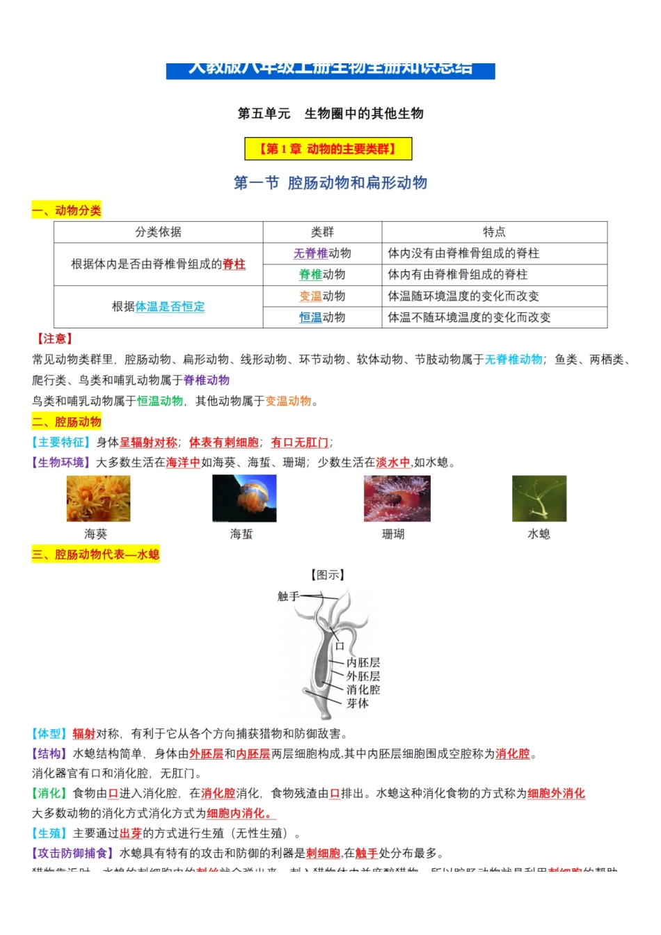 （人教版）八年级上册生物全册知识总结（彩色版）_八年级上册_八年级上册.pdf_第1页