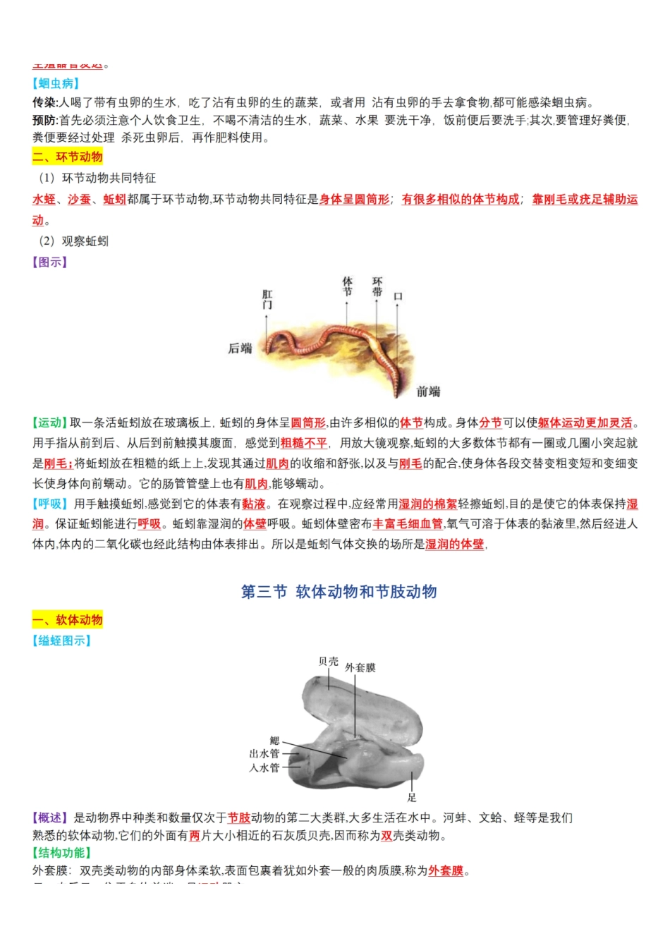 （人教版）八年级上册生物全册知识总结（彩色版）_八年级上册_八年级上册.pdf_第3页