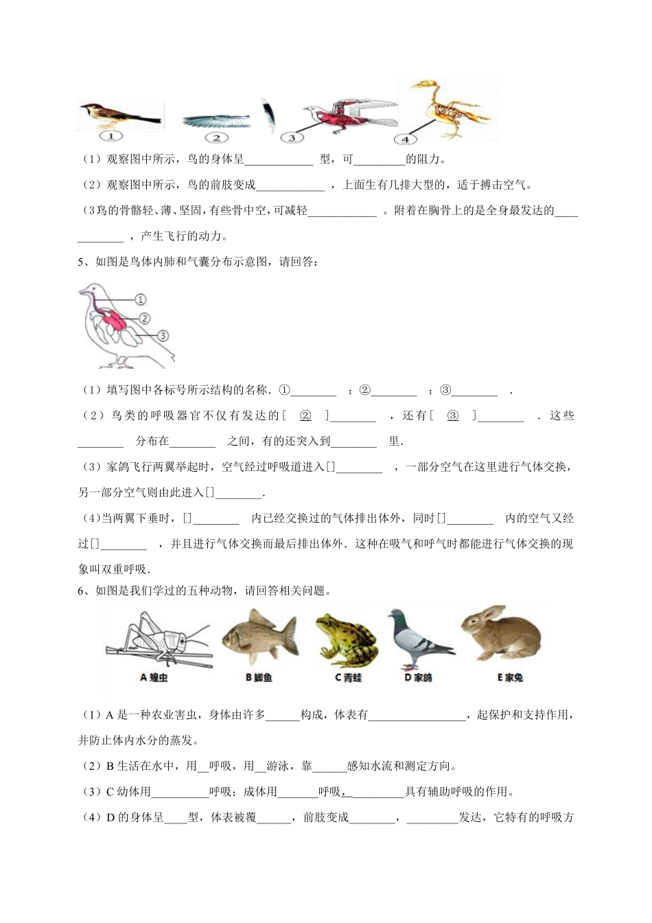 人教版生物八年级上册期末总复习考点必刷专项识图题_八年级上册_八年级上册.pdf_第2页