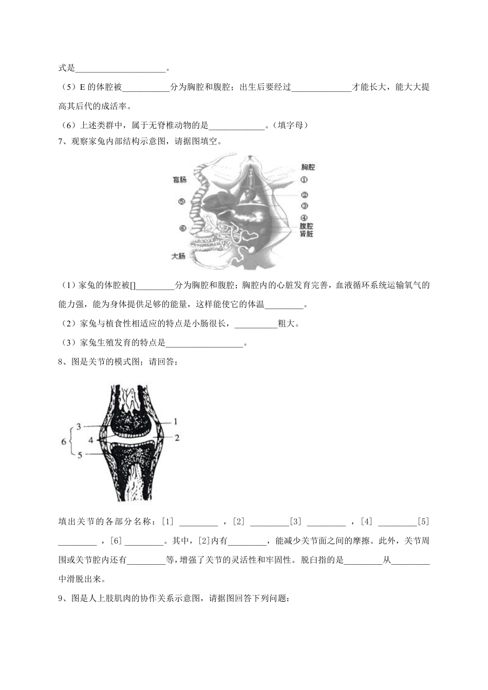 人教版生物八年级上册期末总复习考点必刷专项识图题_八年级上册_八年级上册.pdf_第3页