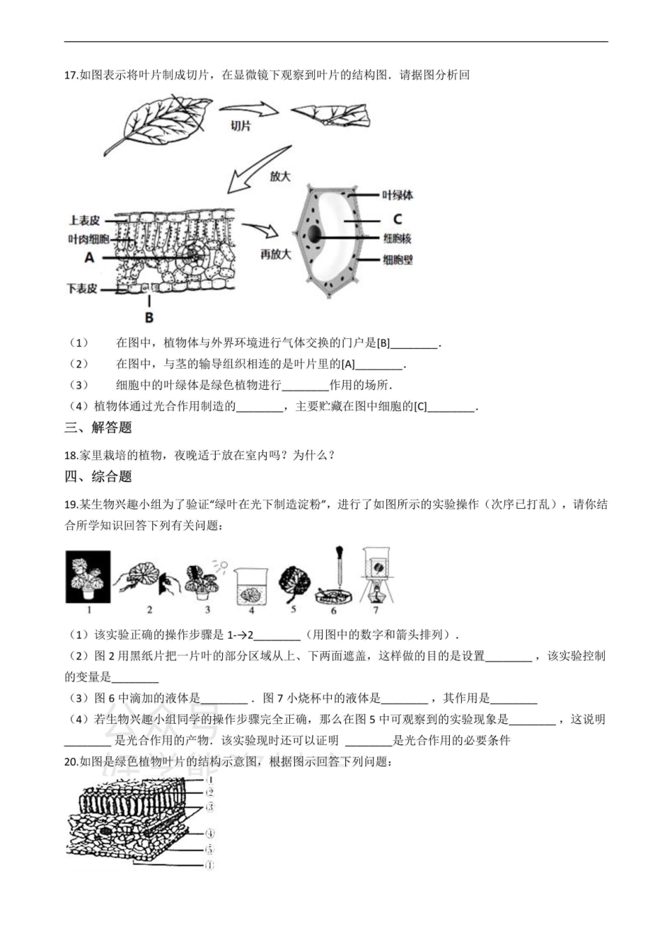 冀少版八年级上册生物 绿色植物在生物圈中的作用 单元测试（含解析）_八年级上册_八年级上册.pdf_第3页