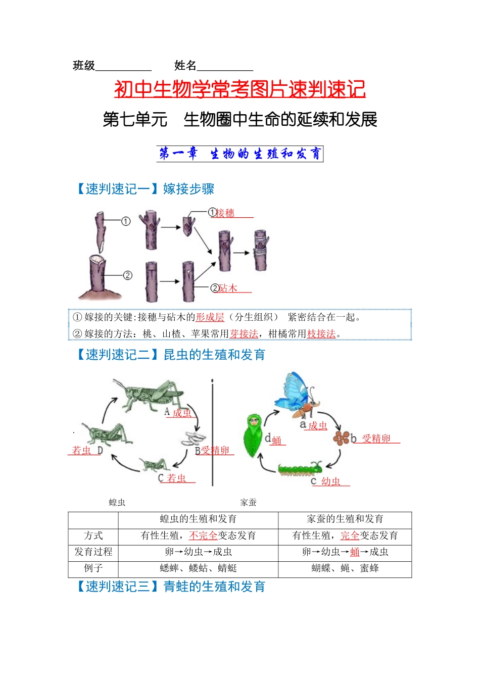 速判速记08  生物圈中生命的延续和发展+健康的生活-【热图解读】中考生物常考图片速判速记（教师版）.docx_第1页