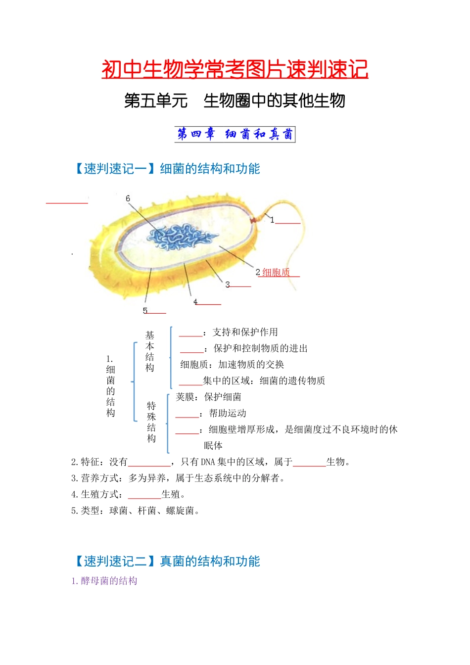 速判速记07  细菌、真菌和病毒+生物的多样性及其保护-【热图解读】中考生物常考图片速判速记（学生版） .docx_第1页