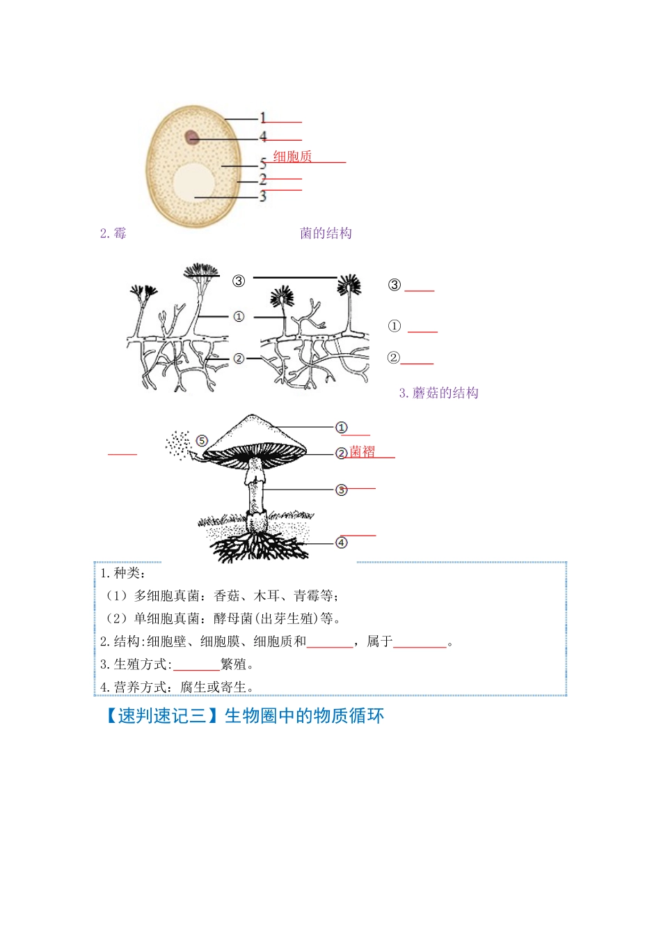 速判速记07  细菌、真菌和病毒+生物的多样性及其保护-【热图解读】中考生物常考图片速判速记（学生版） .docx_第2页