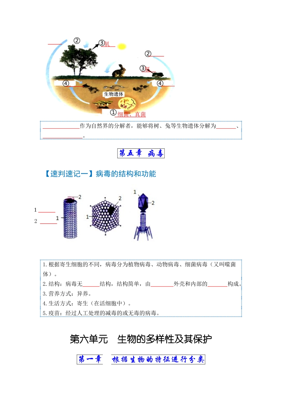 速判速记07  细菌、真菌和病毒+生物的多样性及其保护-【热图解读】中考生物常考图片速判速记（学生版） .docx_第3页