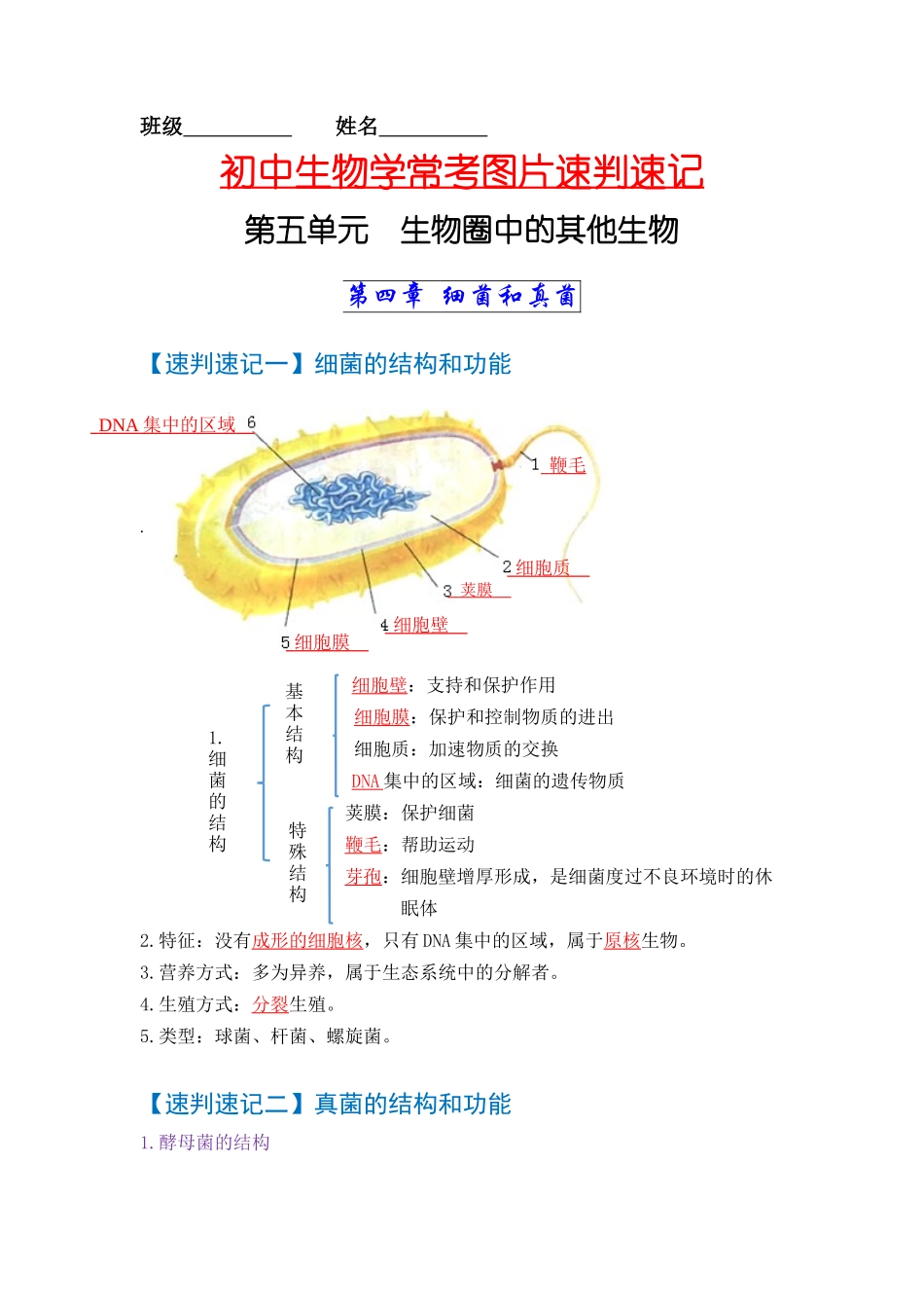 速判速记07  细菌、真菌和病毒+生物的多样性及其保护-【热图解读】中考生物常考图片速判速记（教师版）.docx_第1页