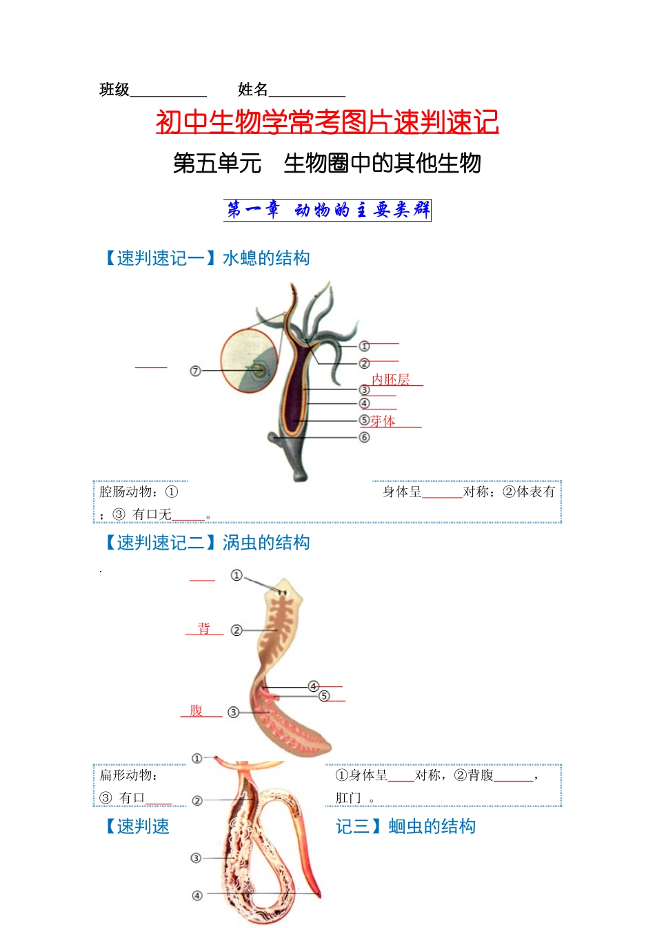 速判速记06  动物的主要类群+动物的运动和行为-【热图解读】中考生物常考图片速判速记（学生版）.docx_第1页