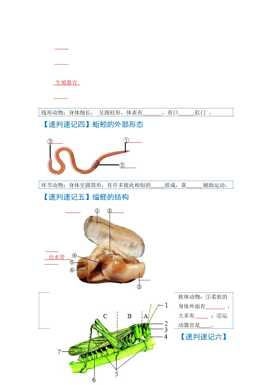 速判速记06  动物的主要类群+动物的运动和行为-【热图解读】中考生物常考图片速判速记（学生版）.docx_第2页