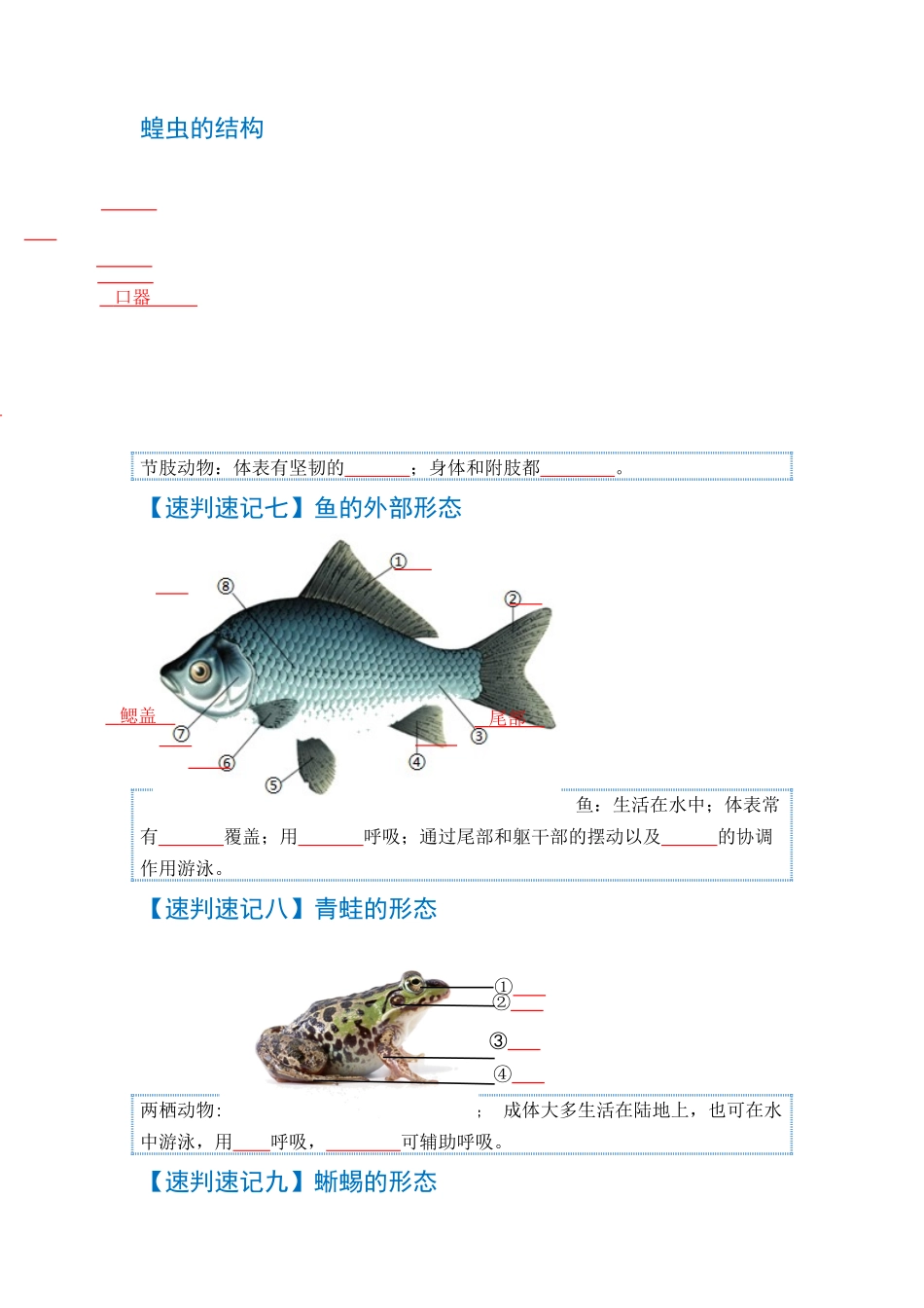 速判速记06  动物的主要类群+动物的运动和行为-【热图解读】中考生物常考图片速判速记（学生版）.docx_第3页