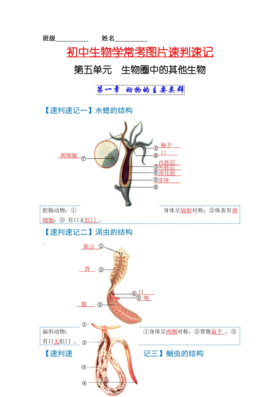 速判速记06  动物的主要类群+动物的运动和行为-【热图解读】中考生物常考图片速判速记（教师版）.docx_第1页