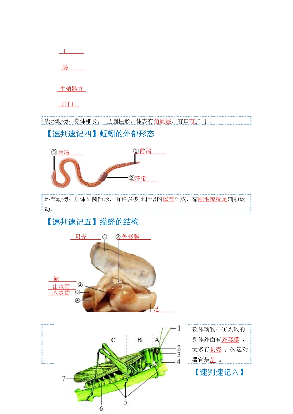 速判速记06  动物的主要类群+动物的运动和行为-【热图解读】中考生物常考图片速判速记（教师版）.docx_第2页