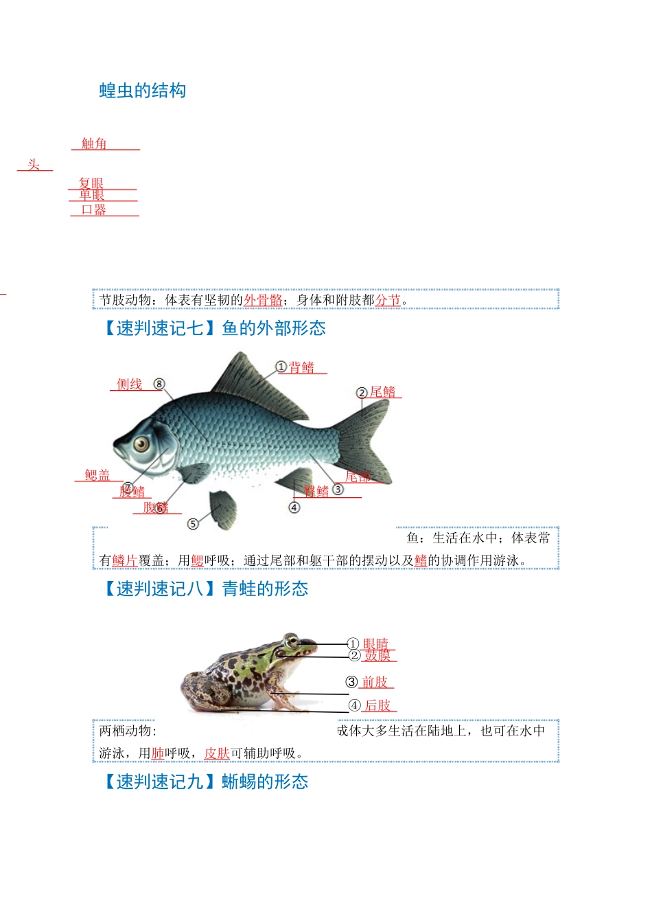 速判速记06  动物的主要类群+动物的运动和行为-【热图解读】中考生物常考图片速判速记（教师版）.docx_第3页