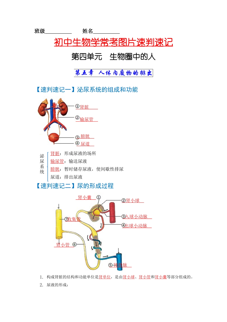 速判速记05  人体内废物的排出+人体生命活动的调节-【热图解读】中考生物常考图片速判速记（教师版）.docx_第1页