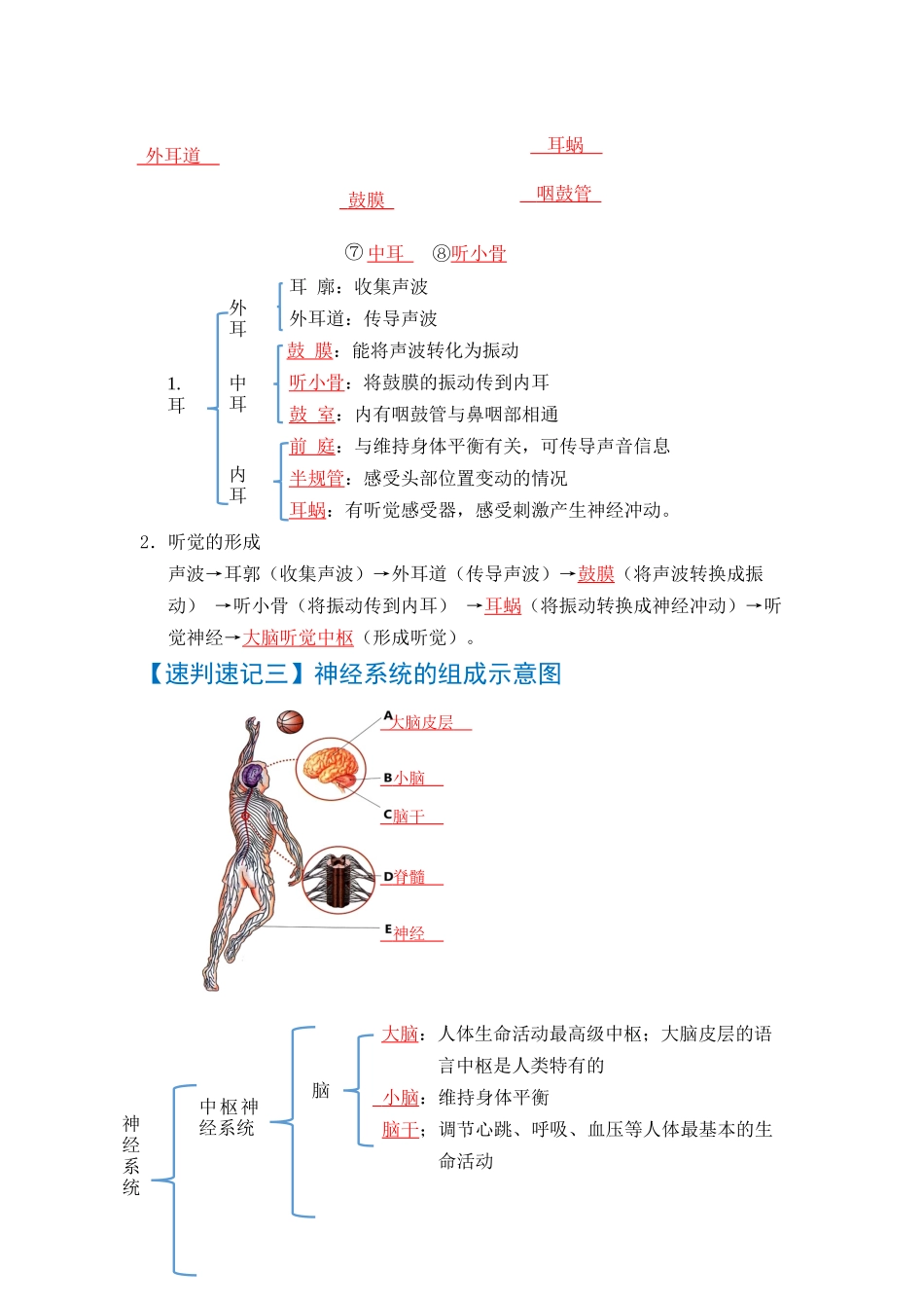 速判速记05  人体内废物的排出+人体生命活动的调节-【热图解读】中考生物常考图片速判速记（教师版）.docx_第3页