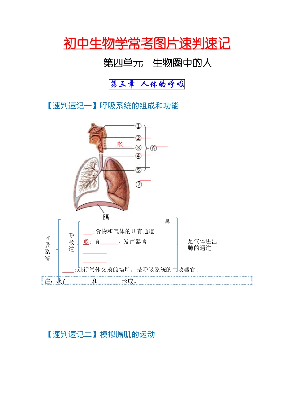 速判速记04  人体的呼吸+人体内物质的运输-【热图解读】中考生物常考图片速判速记（学生版）.docx_第1页