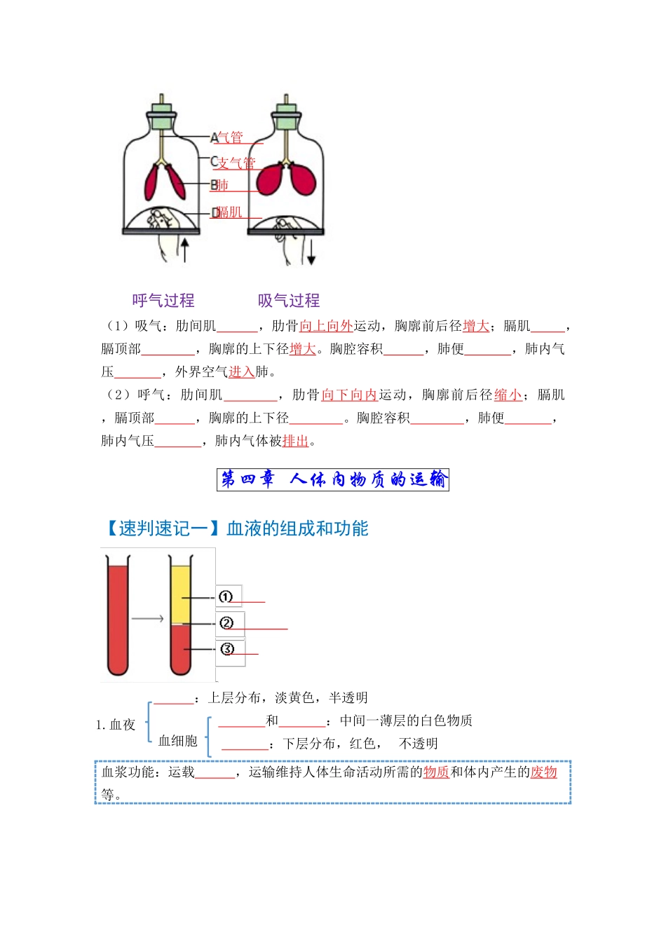 速判速记04  人体的呼吸+人体内物质的运输-【热图解读】中考生物常考图片速判速记（学生版）.docx_第2页