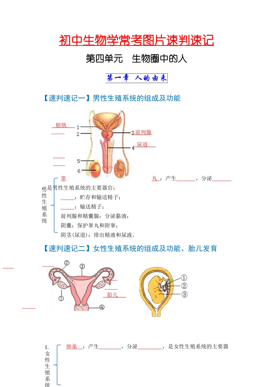 速判速记03   人的由来+人体的营养-【热图解读】中考生物常考图片速判速记（学生版）.docx_第1页