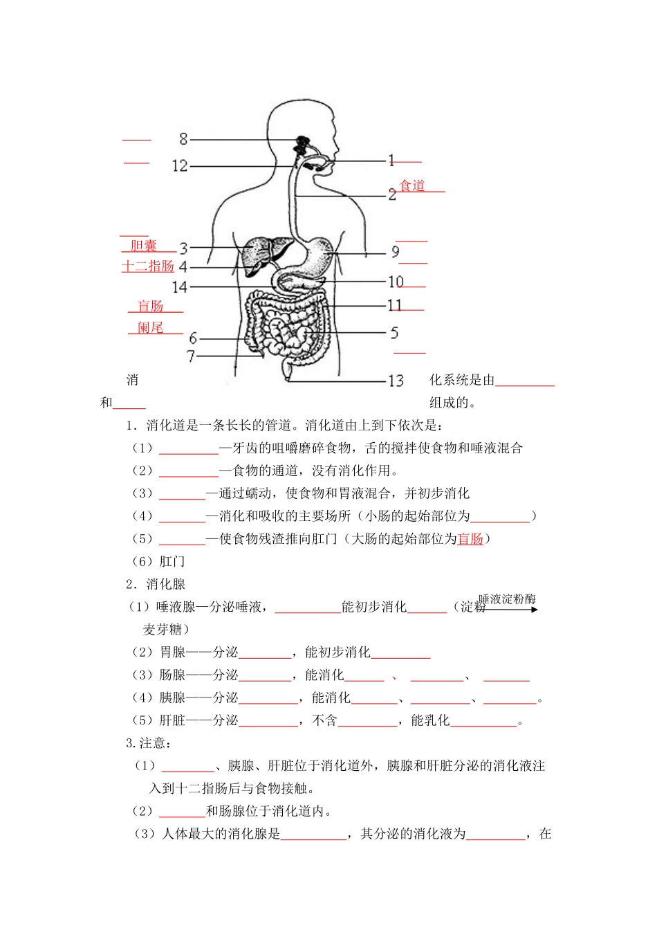 速判速记03   人的由来+人体的营养-【热图解读】中考生物常考图片速判速记（学生版）.docx_第3页